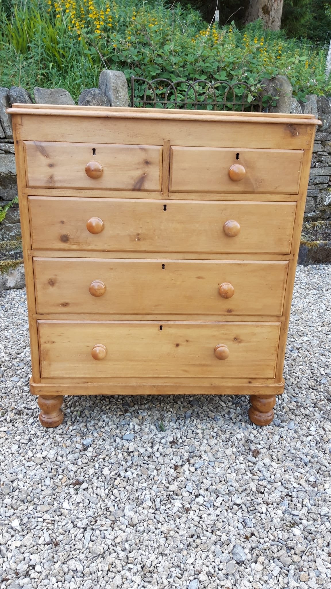 Antique Pine English Chest of Drawers with Fruitwood Knobs c. 1880